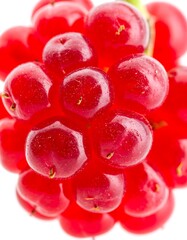 Close-up of Vibrant Red Currants - Fresh and Juicy.