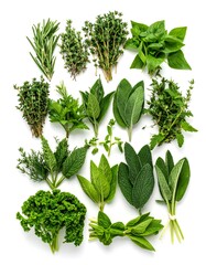 Fresh Herbs Assortment - Rosemary, Thyme, Basil, Mint, Sage, Parsley.
