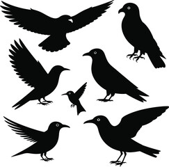 Fototapeta premium Black bird silhouettes flying standing vector