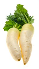 Fresh Daikon Radishes with Green Tops on White Background.