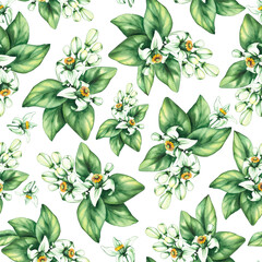 Pomelo citrus fruit seamless pattern on a white background, hand-drawn. Botanical fruit pattern for DIY projects, cards, invitations, posters, scrapbooking, branding, and packaging.