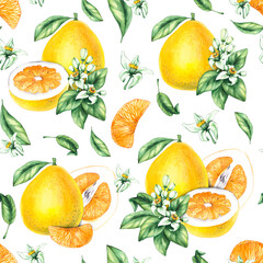 Pomelo citrus fruit seamless pattern on a white background, hand-drawn. Botanical fruit pattern for DIY projects, cards, invitations, posters, scrapbooking, branding, and packaging.