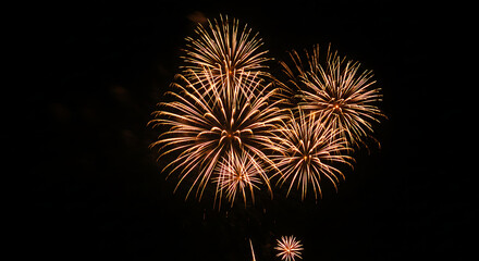 Fireworks Display in the Night Sky: Illuminated with vibrant bursts of color and light, fireworks explode against the dark night sky, bringing joy and a celebratory atmosphere.