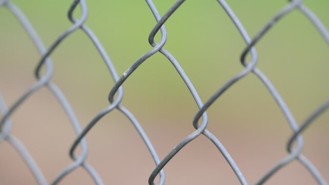 chain link fence with green grass