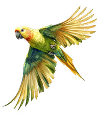 A golden parakeet in midflight isolated on transparent background, its wings outstretched, displaying its vibrant yellow and green plumage, creating a dynamic scene