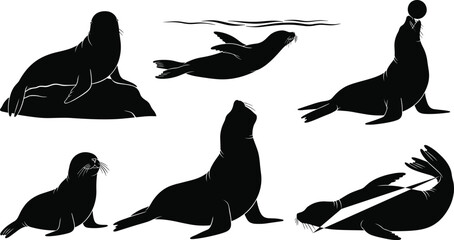 Obraz premium Seal silhouettes in various poses including swimming, sitting, performing tricks, balancing ball, and lying down for marine wildlife vector illustration