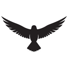 Obraz premium Eagle flying in the sky on white background