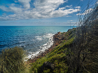 View Through The Bushes Along The Headland