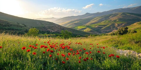 A vibrant meadow with red poppies and green grass, set against a backdrop of rolling hills and mountains under a clear blue sky with scattered clouds.