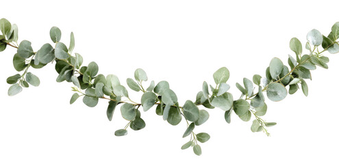 Eucalyptus garland isolated on transparent background, a delicate and fragrant decoration, perfect for adding a touch of natural elegance to any setting