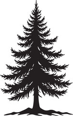 Fototapeta premium Black silhouette of a pine tree with branches evergreen