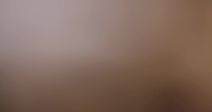 pistachios are on the table along with whole cheese in white mold, delicious white soft cheese in mold and a large number of salted pistachios with cracked shells.