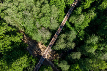 Cool aerial shot of a lengthy footbridge spanning a lush green forest. Sunshine creates striking shadows on the dense canopy below © PhotoChur
