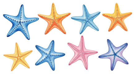 Collection of colorful starfish in various shades of blue, orange, yellow, and pink, isolated on transparent background, creating a vibrant and diverse marine life illustration