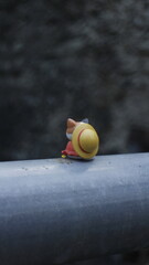 a toy cat wearing a hat is sitting in nature