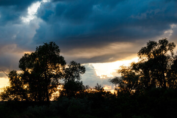 Silhouetted trees against a dramatic, stormy sky with a radiant sunset glow peeking through dark clouds. A moody natural spectacle at fading light