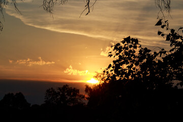 Radiant sunset paints the sky fiery orange, peeking through dark tree foliage. Golden hour's magic,...