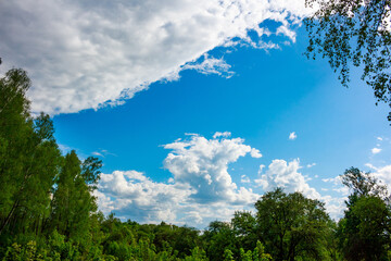 Expansive azure sky, dotted with fluffy cumulus and streaky clouds. Verdant treetops peek from below. A serene, bright summer vista