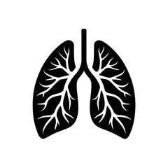 Lungs anatomical structure on transparent background silhouette