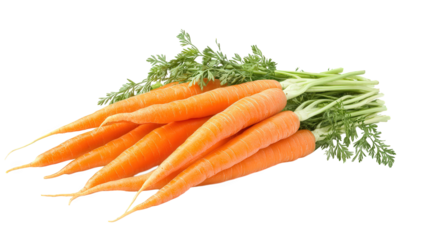 A pile of fresh carrots with green tops isolated on transparent background, showcasing their vibrant orange color and healthy appeal for cooking and snacking