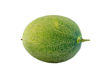 High Quality PNG Picture of cantaloupe melon, isolated on white background.