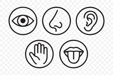 Human senses icon set. Vision eye, smell nose, hearing ear, touch hand, taste mouth with tongue. Simple line icons in circle. Five senses of human nervous system. set of five senses icon.
