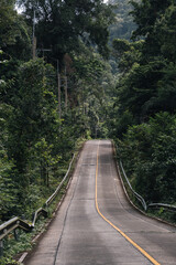 Obraz premium Narrow paved road climbing through dense tropical vegetation in Koh Kood, Thailand, with a broken guardrail