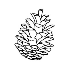 outline drawing of a natural pinecone. winter forest symbol