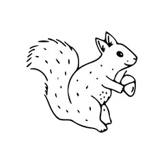 cute squirrel holding acorn line art
