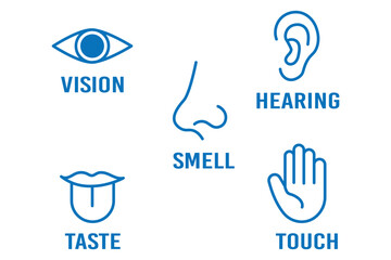 Human senses icon set. Vision eye, smell nose, hearing ear, touch hand, taste mouth with tongue. Simple line icons in circle. Five senses of human nervous system. Design eye, ear, nose, mouth.