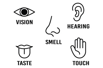 Human senses icon set. Vision eye, smell nose, hearing ear, touch hand, taste mouth with tongue. Simple line icons in circle. Five senses of human nervous system. Design eye, ear, nose, mouth.