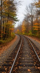 Fototapeta premium Train tracks winding through an autumn forest with fallen orange leaves carpeting the ground