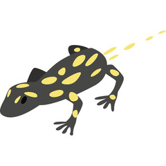 A Black And Yellow Spotted Amphibian With A Yellow Trail In A White Background