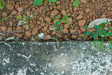 Abstract Full Frame Texture of Rusted Metal or Aged Stone with Brown, Rust, and Light Blue Patina