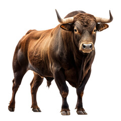 Fierce Bull Standing Strong on Transparent Background with Realistic Muscular Details