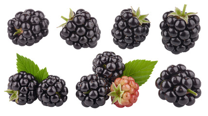 Fresh blackberries with leaves, a healthy snack for vibrant summer days.