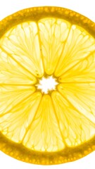 Translucent Lemon Slice - A Vibrant Citrus Burst of Freshness.