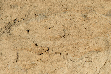 表面に凸凹のある茶色い石のクローズアップ。石や岩のテクスチャー