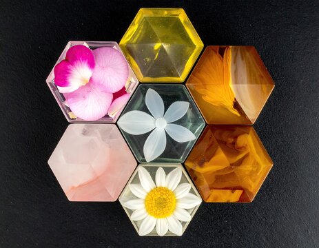 Hexagonal cells with flowers on dark backdrop