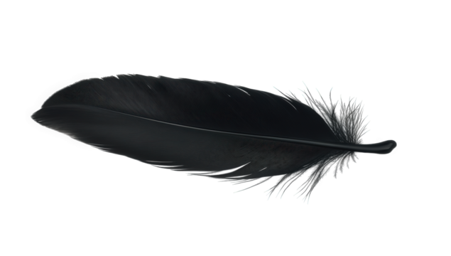 A single black feather isolated on transparent background, its delicate barbs and quill creating a striking contrast, symbolizing lightness, freedom, and avian beauty