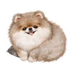 Obraz premium Pommy Nap Time | Pommy Cozy Home Collection