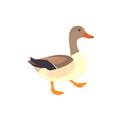 Obraz premium Pixel Art Duck Walking with Brown Head Beige Body Orange Beak and Feet on White Background Detailed Vector Graphics for Simple Illustration