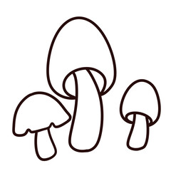 Cute mushrooms group line art illustration 
