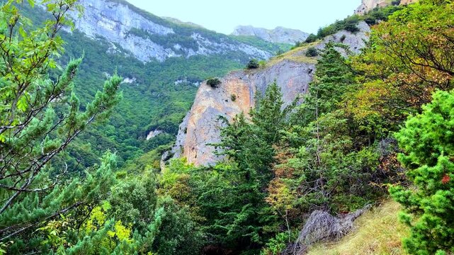 Wondrous view of the road to the Eremo di Soffiano (Sarnano) in the Sibillini Mountains, a tilt-up shot encompassing the narrow gravel path nestled among gorgeous greenery and mountainous landscapes