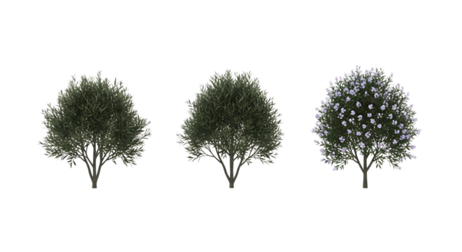 Three green trees with transparent white and purple flowers on transparent background