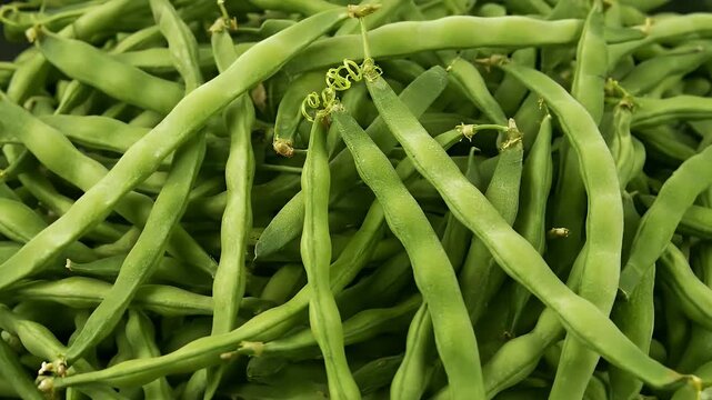 Fresh Green String Beans Pile Close Up Macro Shot Natural Lighting Healthy Vegetable Ingredient Food Photography