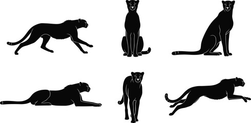 Cheetah silhouette poses, walking, sitting, lying, standing, leaping motion, black vector, isolated animal set, feline anatomy reference © Creatives World
