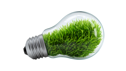 green light bulb with grass inside, isolated on a Transparent background PNG