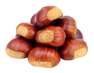 Group of sweet European sweet chestnut also known as Spanish chestnuts and gathered in Autumn isolated on a white background