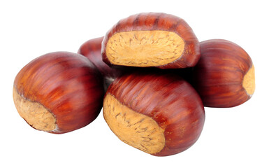 Group of sweet European sweet chestnut also known as Spanish chestnuts and gathered in Autumn isolated on a white background